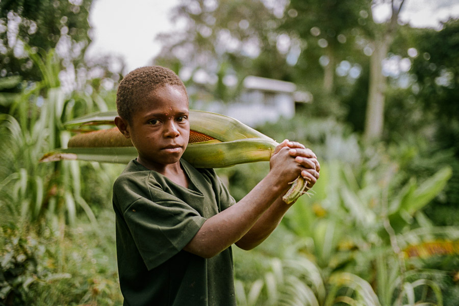 Un enfant transporte un Red Pandanus, un fruit rouge originaire de Nouvelle-Guinée - Christophe MOEC
