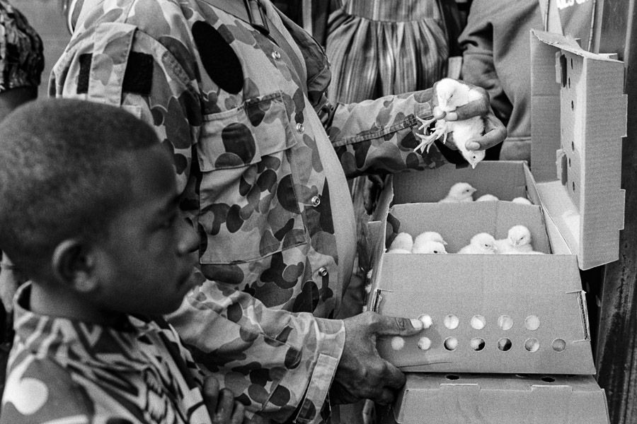 Vente d'une boîte de 52 poussins dans les Hautes-Terres, en Papouasie-Nouvelle-Guinée